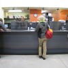 msf teller counter